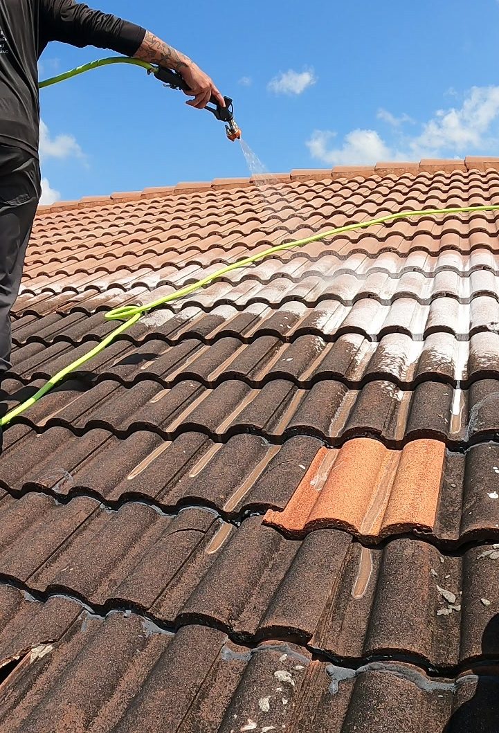 Tile roof soft washing with Sodium Hypochlorite.